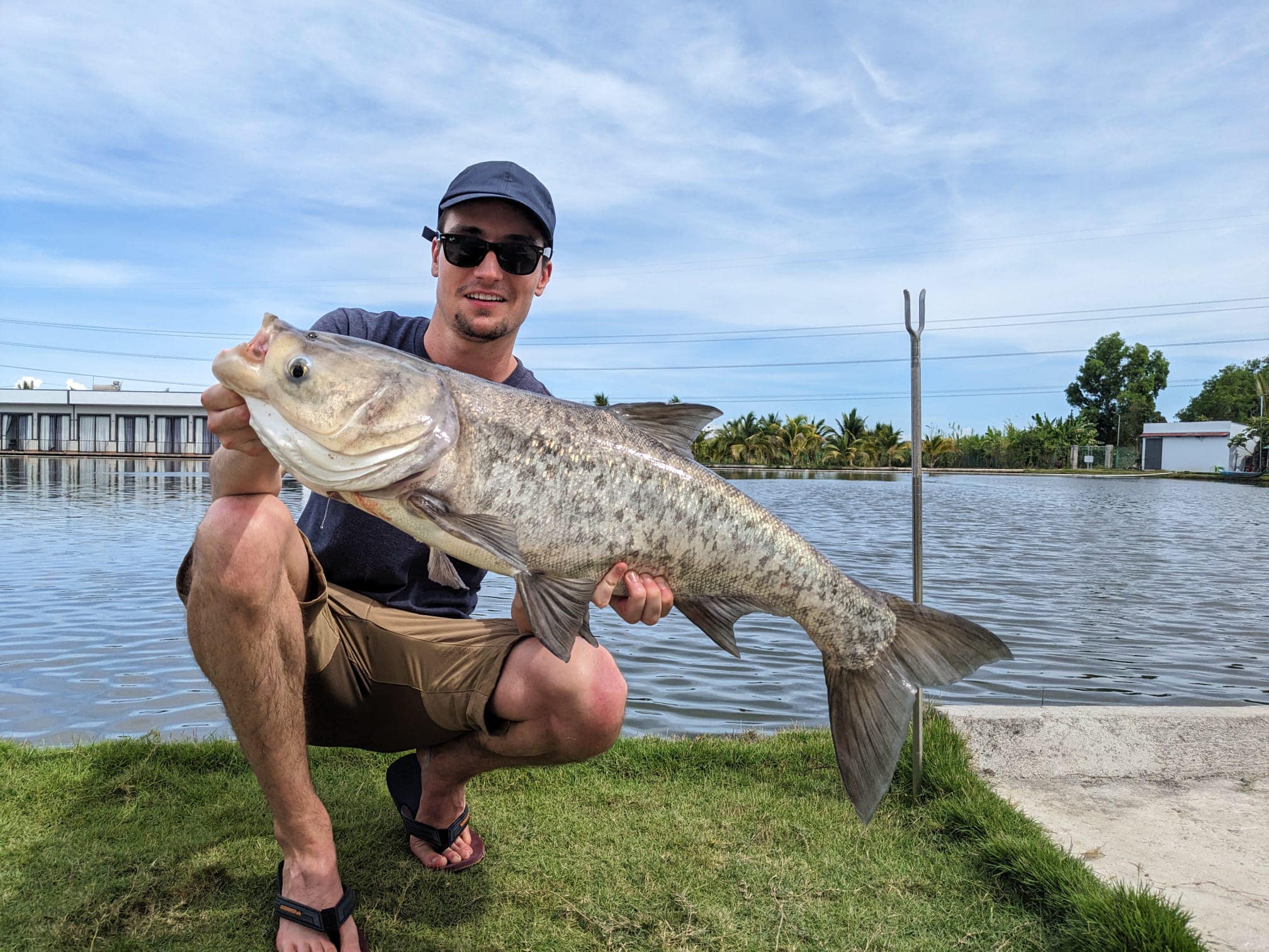 Asian Carp