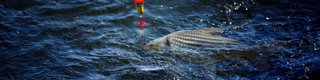 Bungsamran-Fishing-park-bangkok-thailand-viet-nam-fishing-tour-trip-lure-catching-night