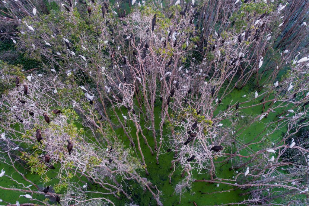 Tan Lap Floating Village-moc-hoa-long-an-viet-nam-fishing-tour-trip-adventure-251