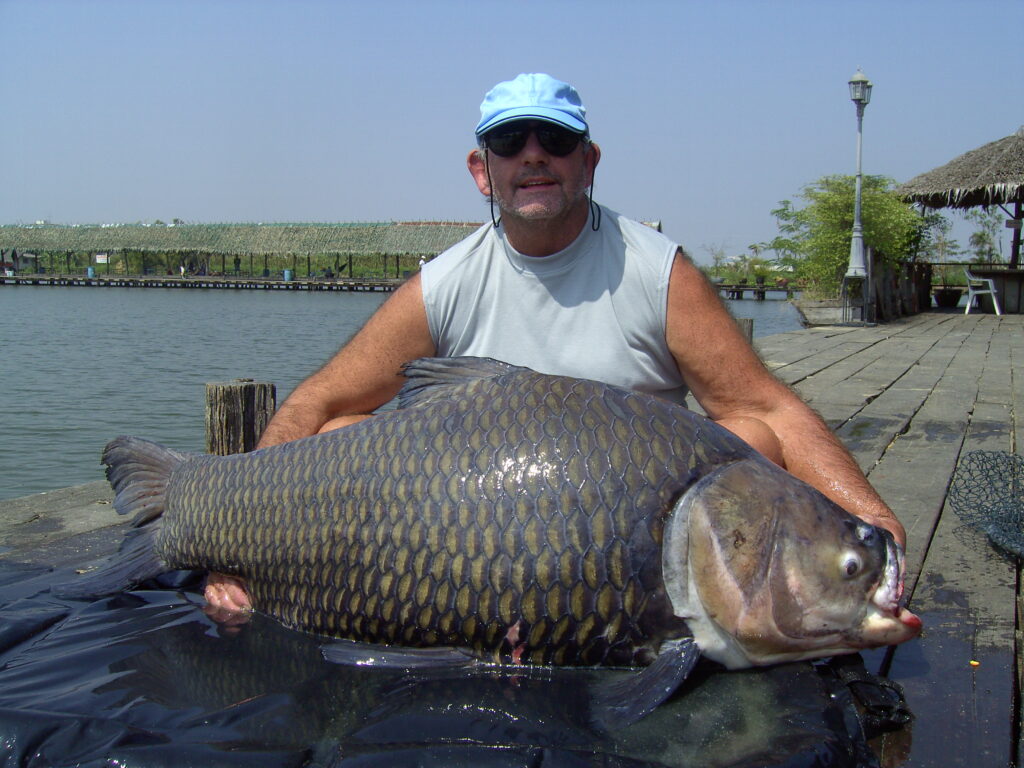 The Siamese Giant Carp