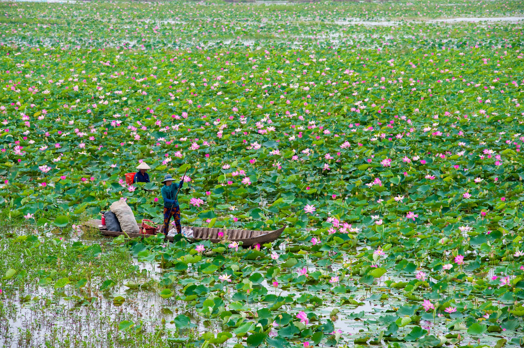 Tram-Chim-National-Park-dong-thap-vietnam-Lunnar-New-Year-2026-fishing-tour-trip-travel-adventure-angler-lure-fly-1