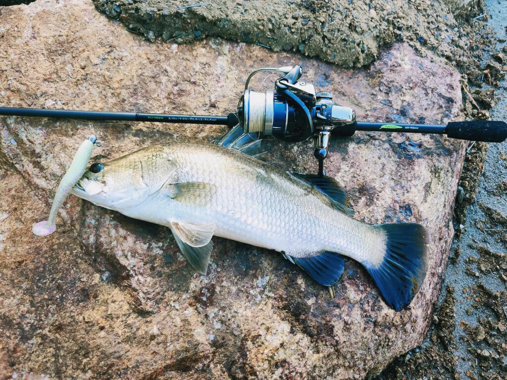 angler-barramundi-ben-tre-vietnam-fishing-tour-trip-travel-adventure-new-year-2026