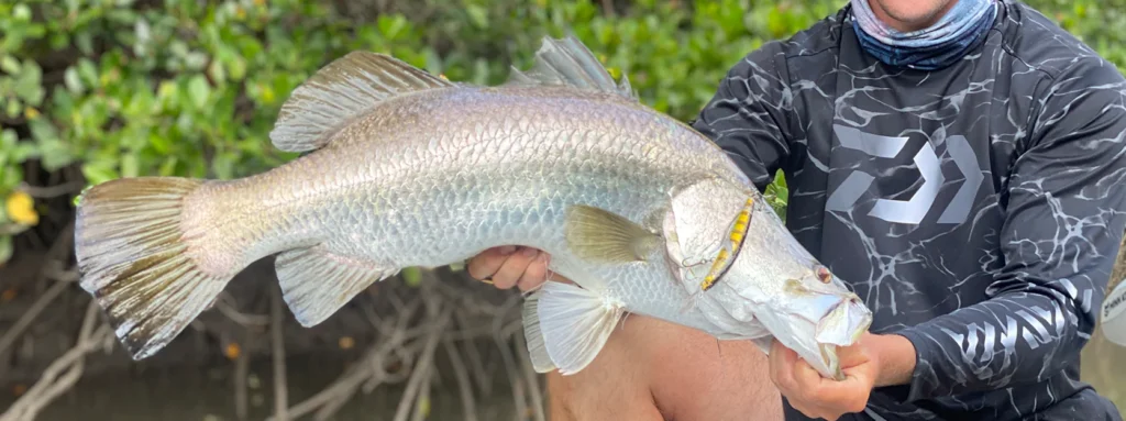 barramundi-viet-nam-fishing-tour-trip