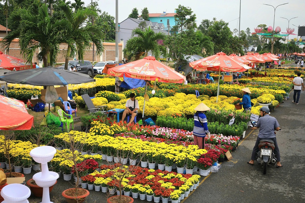 flower-market-tet-holiday-fishing-tour-trip-travel-vietnam-adventure-lunar-new-year-2026