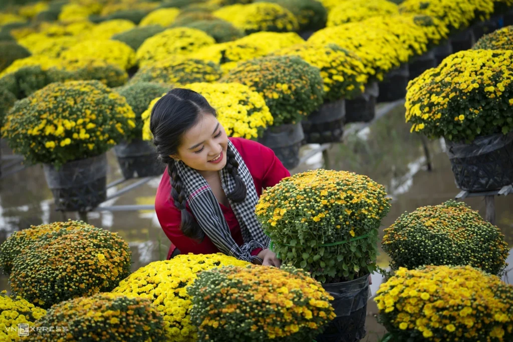 lunar-new-year-2026-dong-thap-viet-nam-fishing-tour-trip-travel-mekong-delta