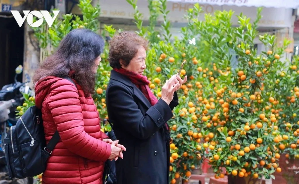 lunar-new-year-2026-northern-vietnam-fishing-tour-trip-travel-adventure-angler