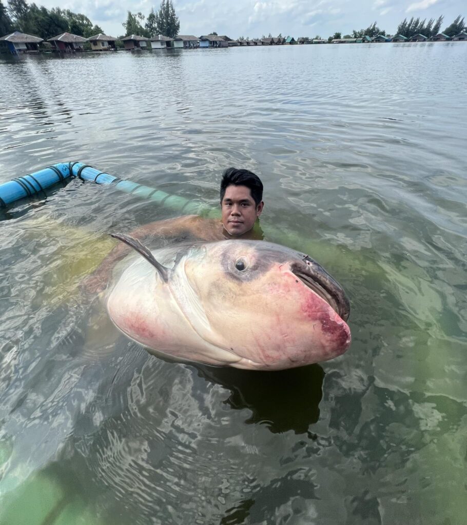 mekong-gaint-catfish-new-bungsamran-fishing-park-bangkok-thailand-viet-nam-tour-trip-adventure-travel-family-12
