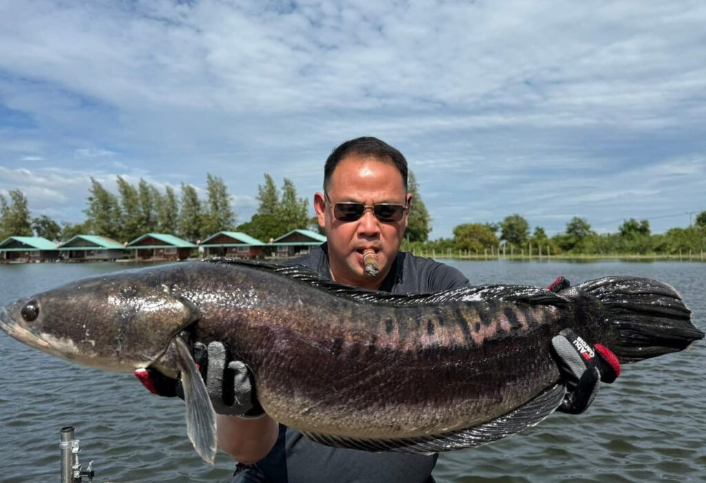 new-bungsamran-fishing-park-bangkok-thailand-viet-nam-tour-trip-adventure-travel-family-11