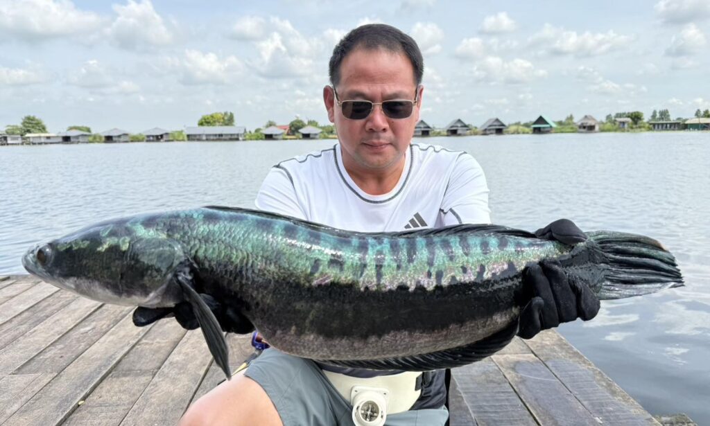 new-year-2026-bungsamran-fishing-park-lake-bangkok-thailand-vietnam-fishing-tour-trip-travel-adventure-28