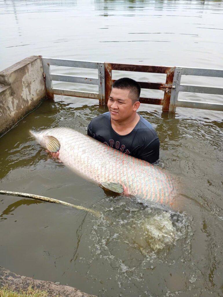 Bull-arena-fishing-park-trip-tour-travel-angler-catching-lure-2026-fishing-guide