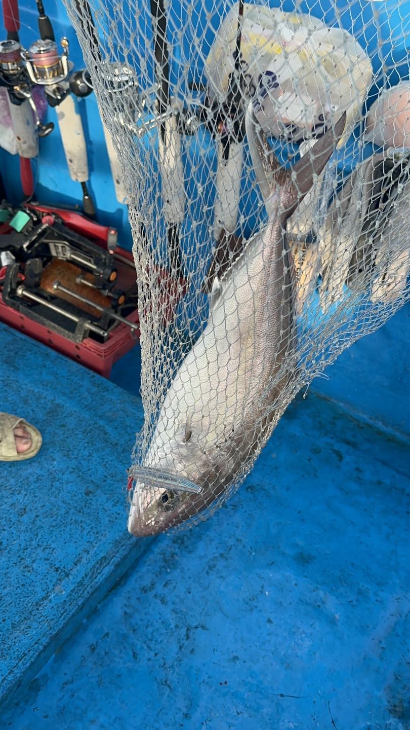 Con-Dao-vietnam-fishing-tour-trip-travel-2026-angler-lure-fly-fishing-12