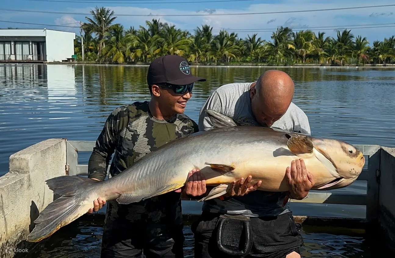 Mekong Giant Catfish