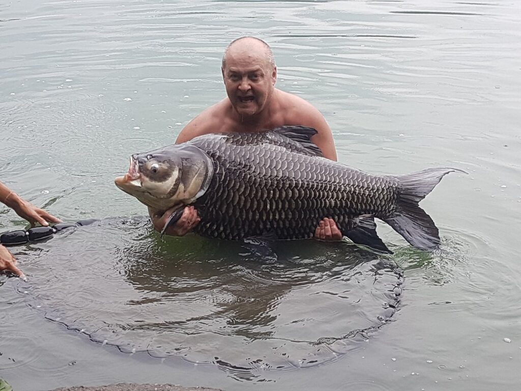 Giant-Siamese-Carp-viet-nam-fishing-tour-trip-travel-angler-guide-summer-2026-lure-fly-fishing-3