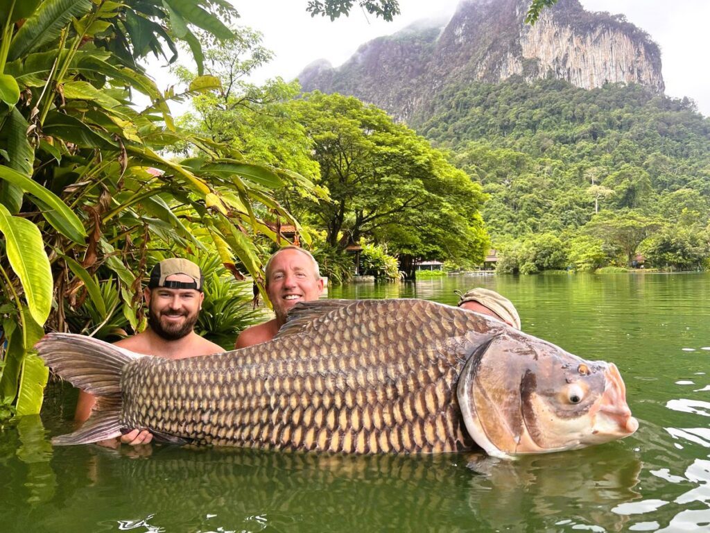 Giant-Siamese-Carp-viet-nam-fishing-tour-trip-travel-angler-guide-summer-2026-lure-fly-fishing-5