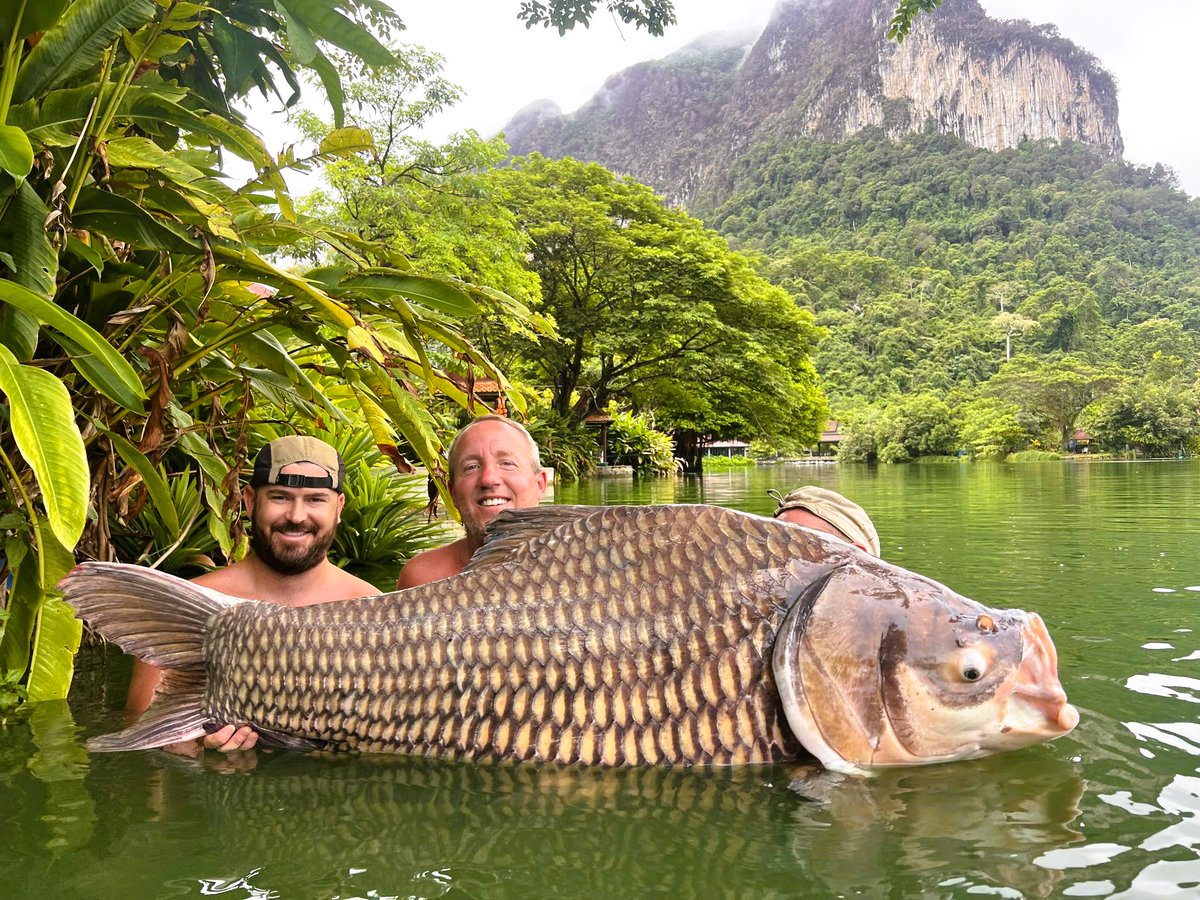 Giant-Siamese-Carp-viet-nam-fishing-tour-trip-travel-angler-guide-summer-2026-lure-fly-fishing-5