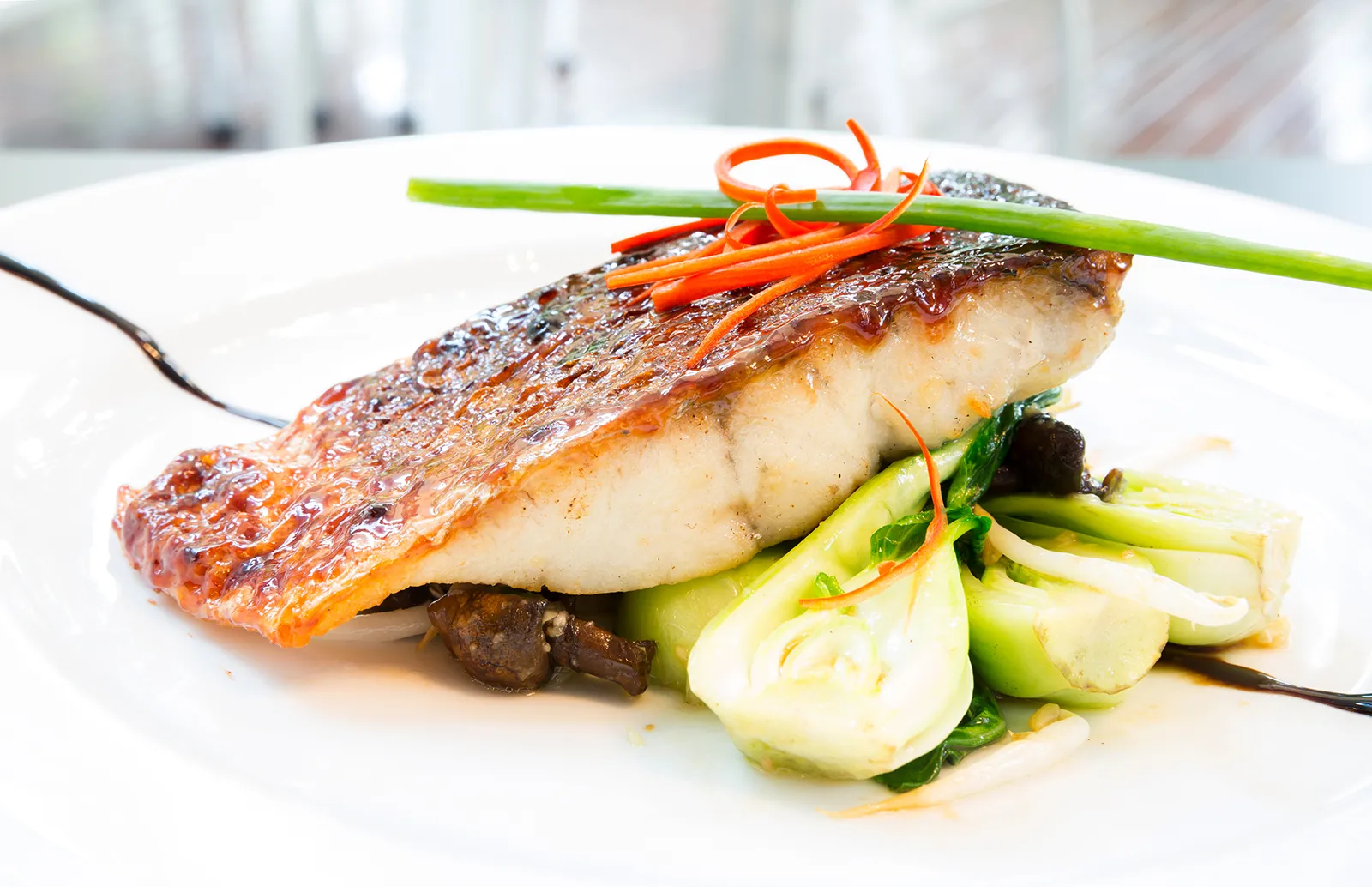 Grilled-barramundi-steak-on-a-bed-of-vegetables-vietnam-fishing-tour-trip-travel-in-summer-2026