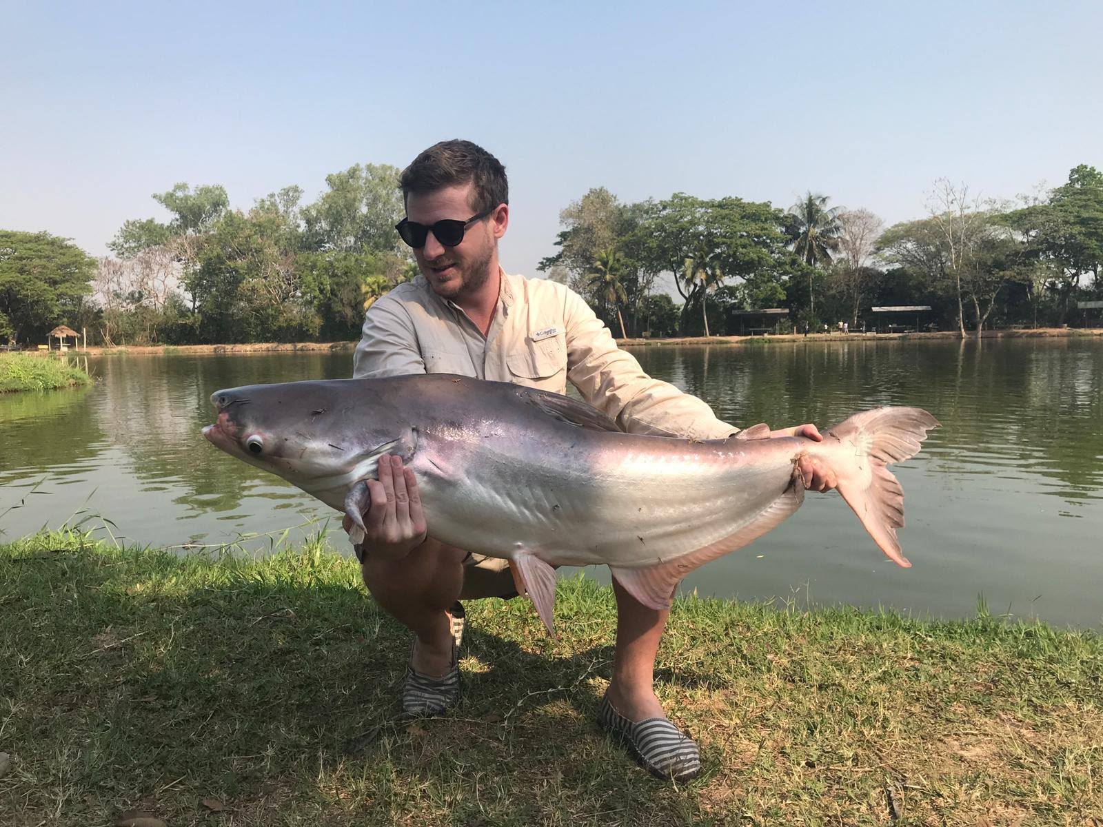 Mekong Giant Catfish