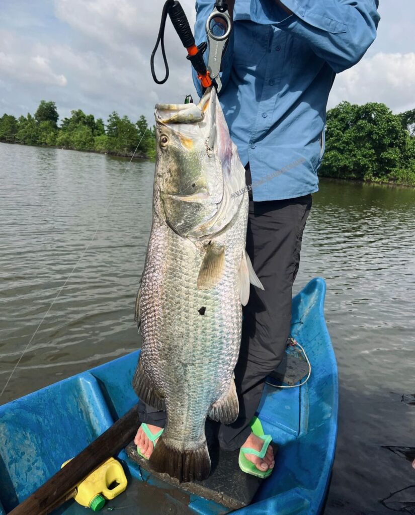 barramundi-fishing-catching-vietnam-trip-tour-travel-summer-2026-256