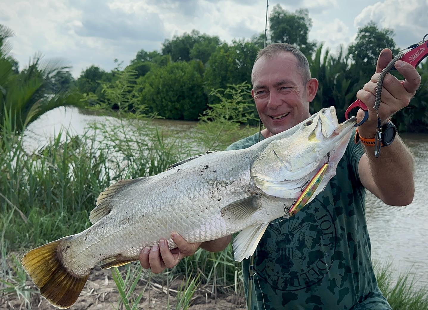 barramundi
