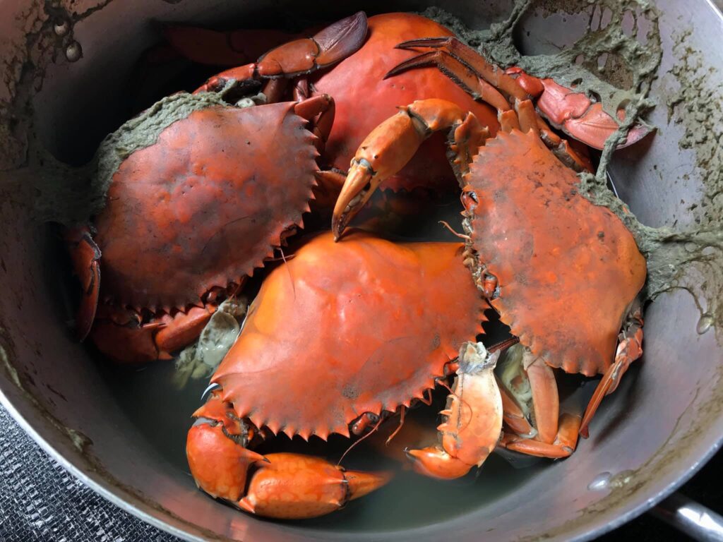 ca-mau-mekong-delta-vietnam-fishing-tour-trip-travel-2026-angler-lure-fly-fishing-lunch-crab