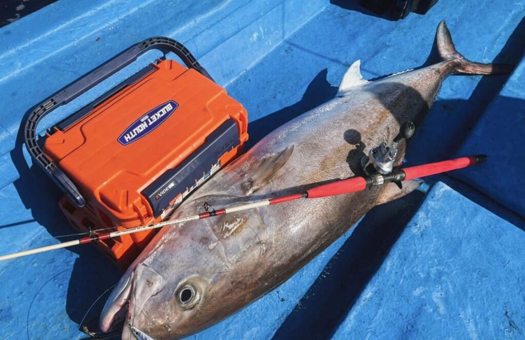 con-dao-island-viet-nam-fishing-tour-trip-travel-2026-angler-lure-fly-fishing-2