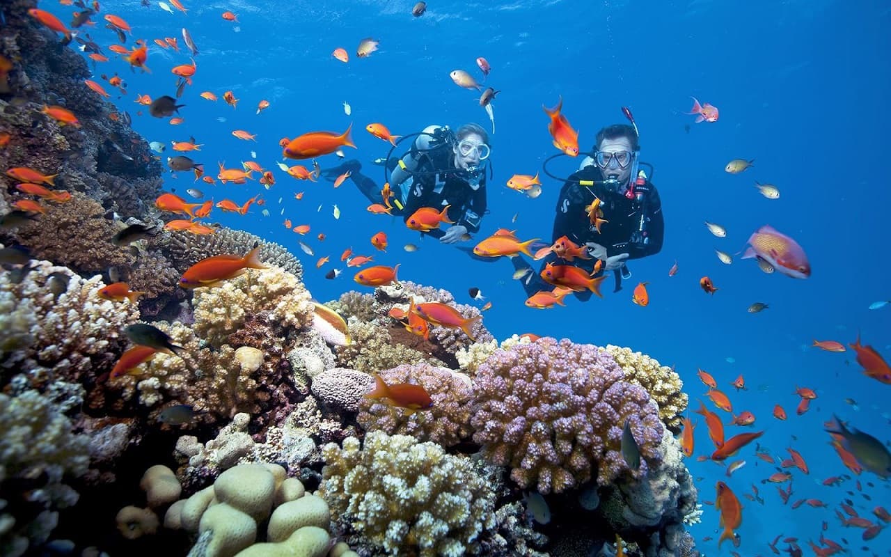 coral-van-phong-bay-nha-trang-khanh-hoa-viet-nam-fishing-tour-trip-travel-anglers