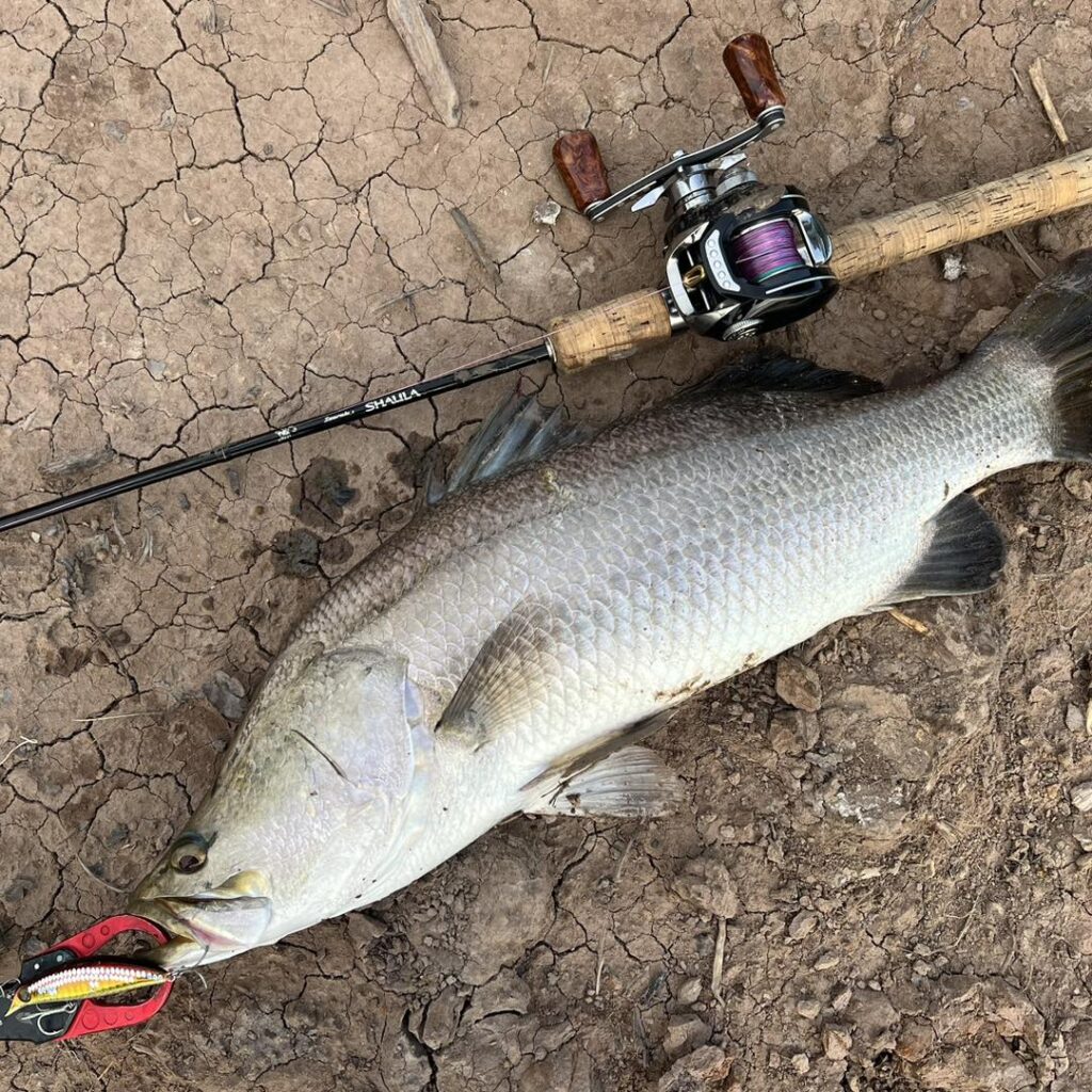 mekong-delta-barramundi-fishing-catching-vietnam-trip-tour-travel-summer-2026-13