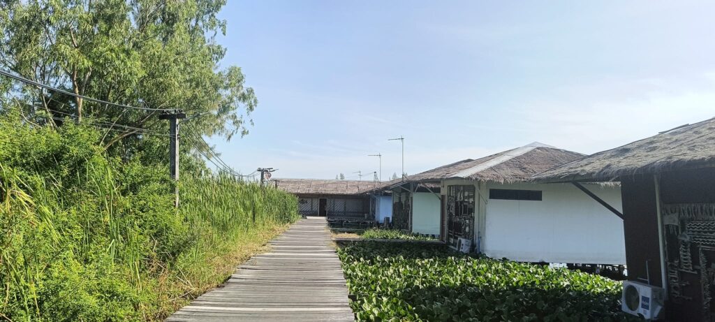 summer-Sport-fishing-charters-thailand-bangkok-bungsamran-vietnam-fishing-tour-trip-travel-lure-fly-fishing-2