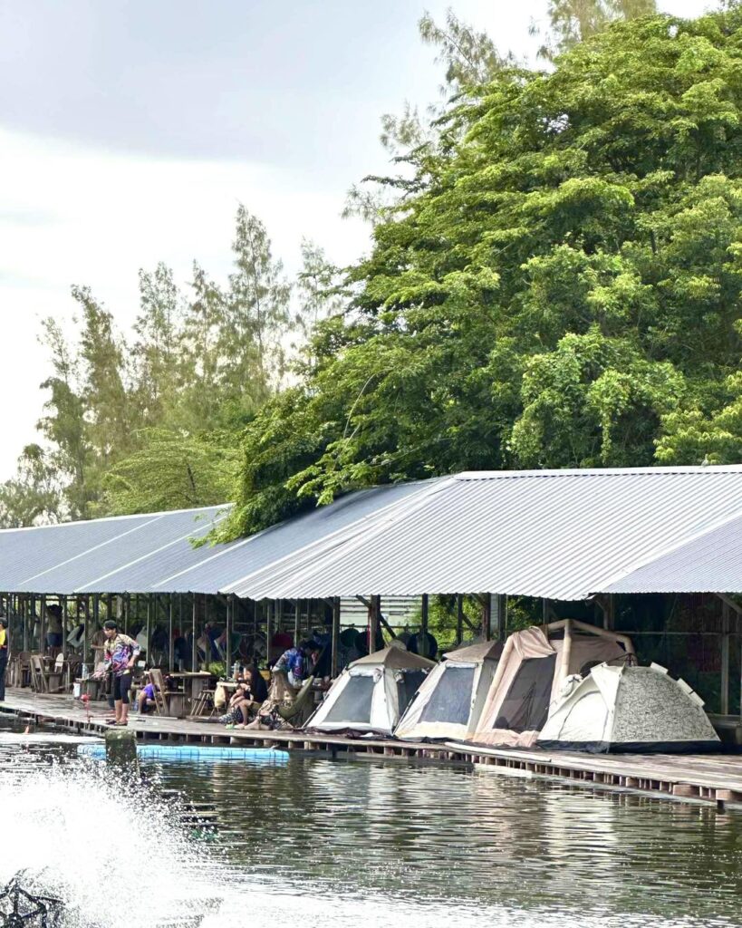 summer-Sport-fishing-charters-thailand-bangkok-bungsamran-vietnam-fishing-tour-trip-travel-lure-fly-fishing-2026-1