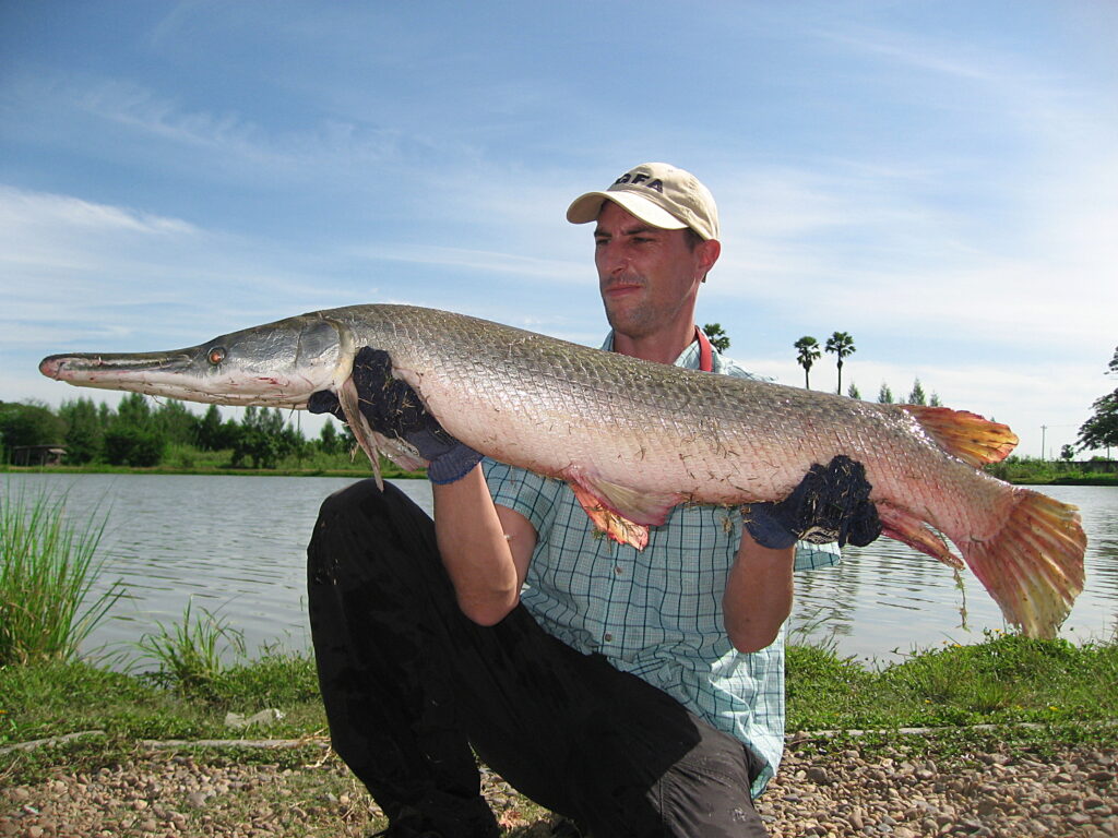 Alligator-Gar-viet-nam-fishing-tours-trips-travel-anglers-lure-fly-fishing-summer-2026-catching-2