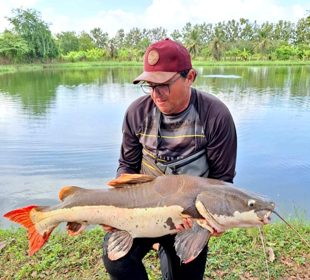 Amazon-Redtail-Catfish-viet-nam-fishing-tours-trips-travel-anglers-lure-fly-fishing-summer-2026-catching-8862
