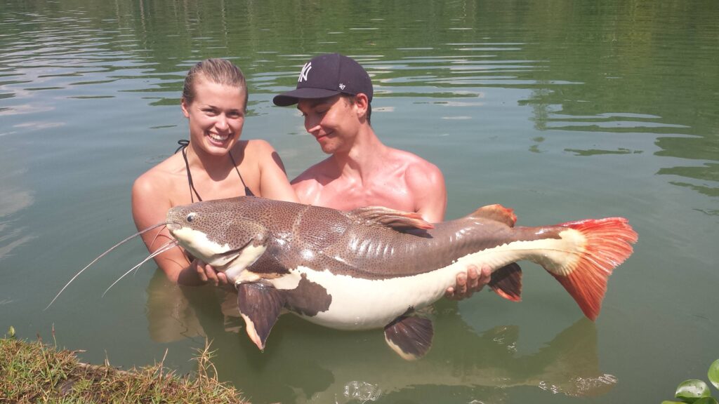 Amazon Redtail Catfish-vietnam-fishing-tours-trips-travel-anglers