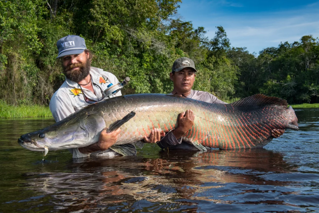 Arapaima-viet-nam-fishing-tour-trip-travel-summer-2026-angler-lure-fly-fishing-35
