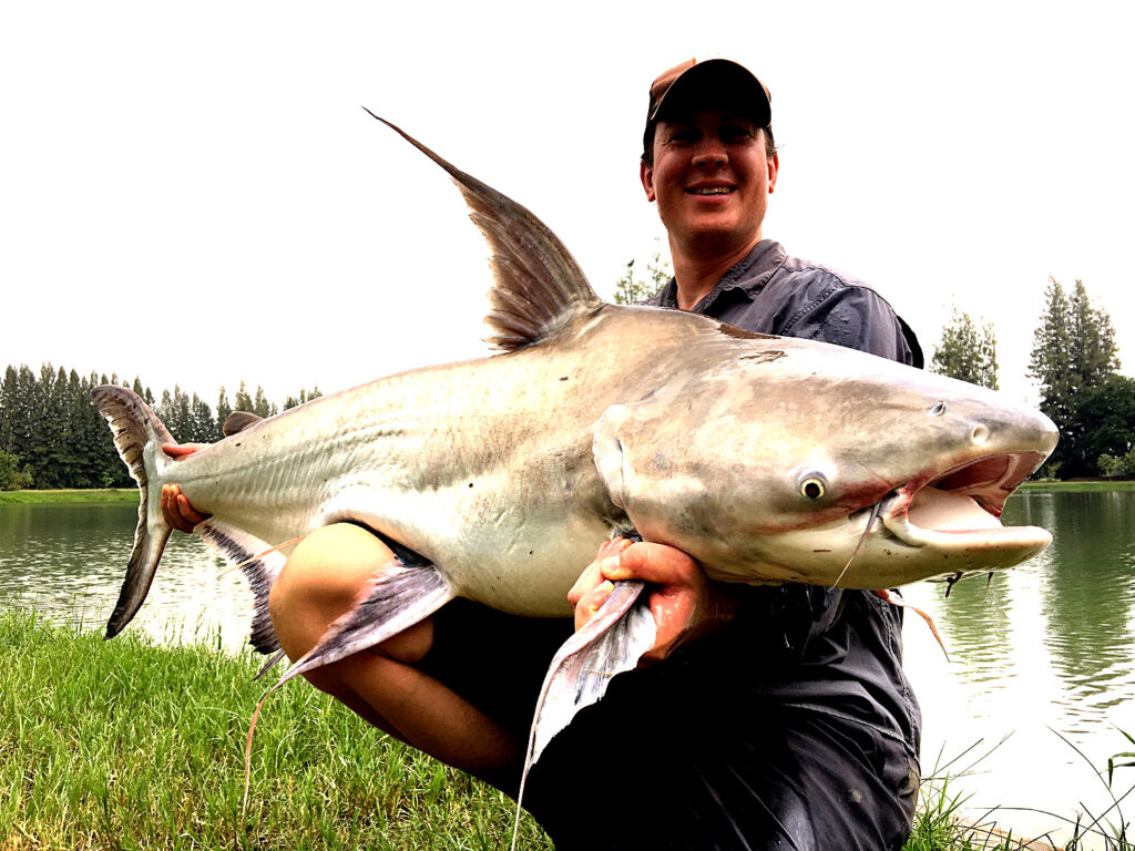 Chao-phraya-catfish-viet-nam-fishing-tours-trips-travel-anglers-lure-fly-fishing-summer-2026-catching-2