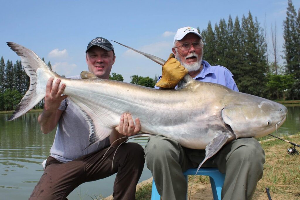 Chao-phraya-catfish-viet-nam-fishing-tours-trips-travel-anglers-lure-fly-fishing-summer-2026-catching-4752
