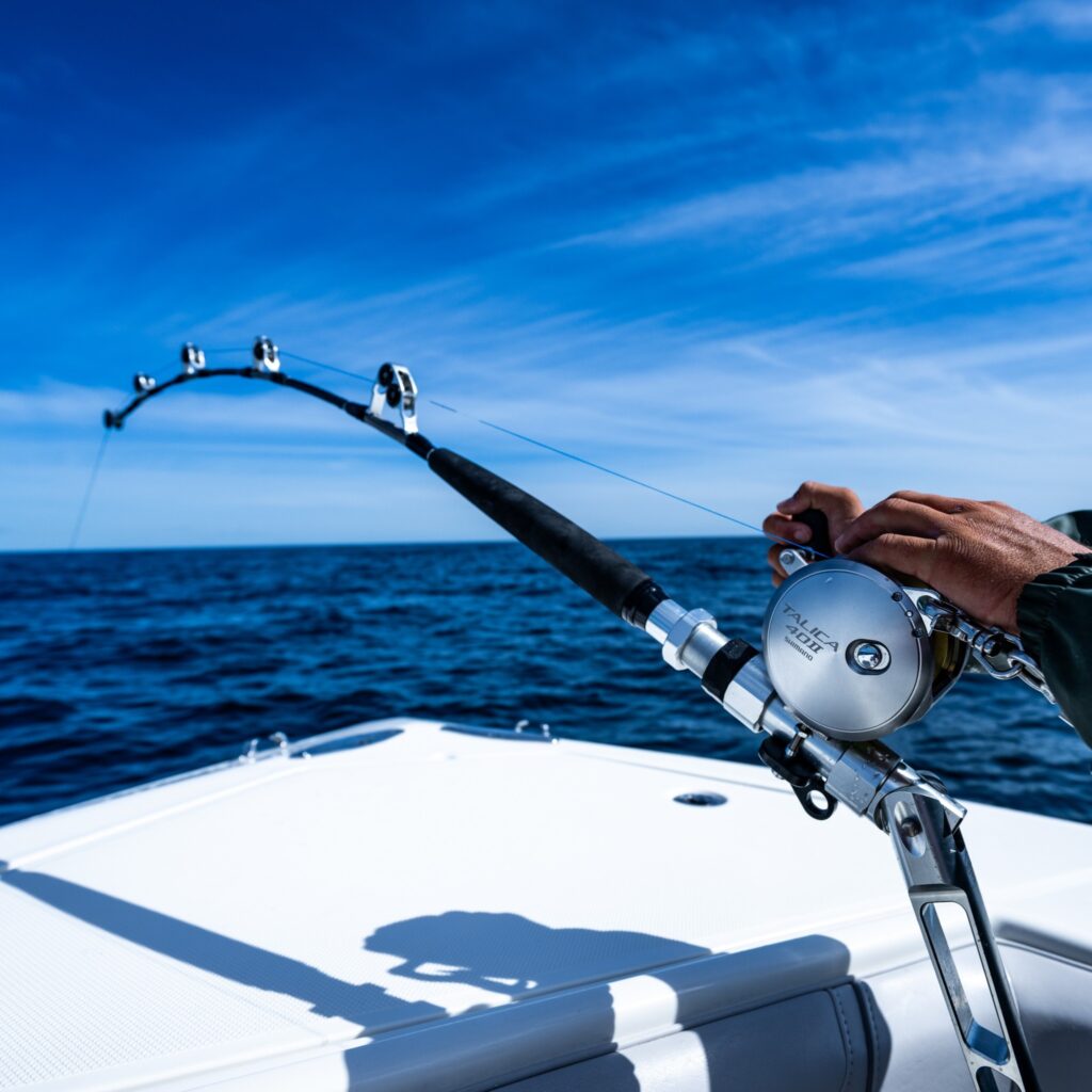 Heavy-Duty Trolling with Precision Depth Control-vietnam-fishing-tour-trip-travel-angler-summer-2026 -3