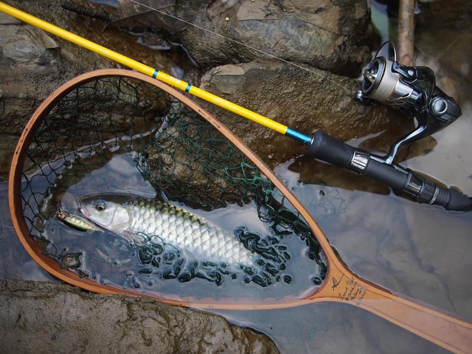 Mr-tung-Vietnam-fishing-tour-trip-travel-angler-lure-fly-fishing-summer-2026-blue-mahseer