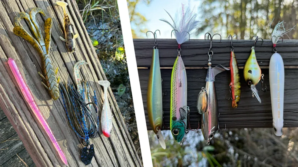 The Fuzzy Bait & Big-Lure Revolution - vietnam-fishing-tour-trip-travel-2026-angler-summer