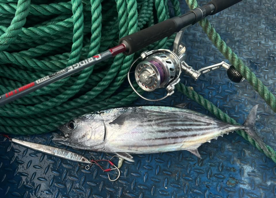 Tran-hoan-Vietnam-fishing-tour-trip-travel-angler-lure-fly-fishing-summer-2026-deep-sea-fishing-23