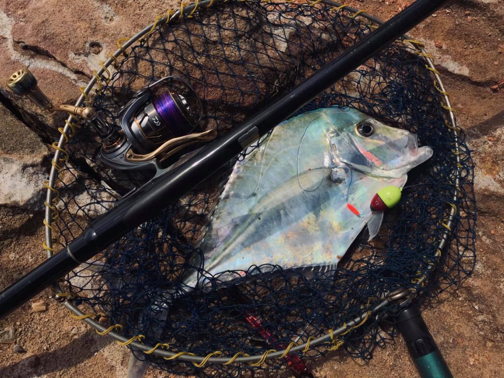 Tran-hoan-Vietnam-fishing-tour-trip-travel-angler-lure-fly-fishing-summer-2026-deep-sea-fishing-287