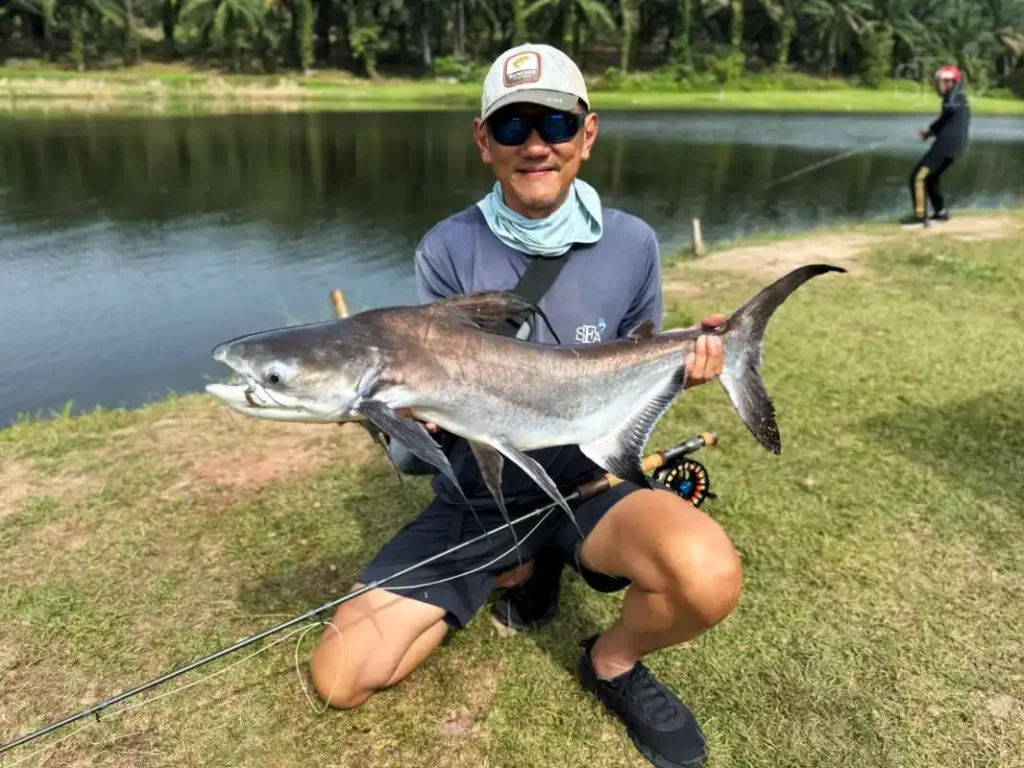 chao-phraya-catfish-fly-fishing-vietnam-fishing-tour-trip-travel