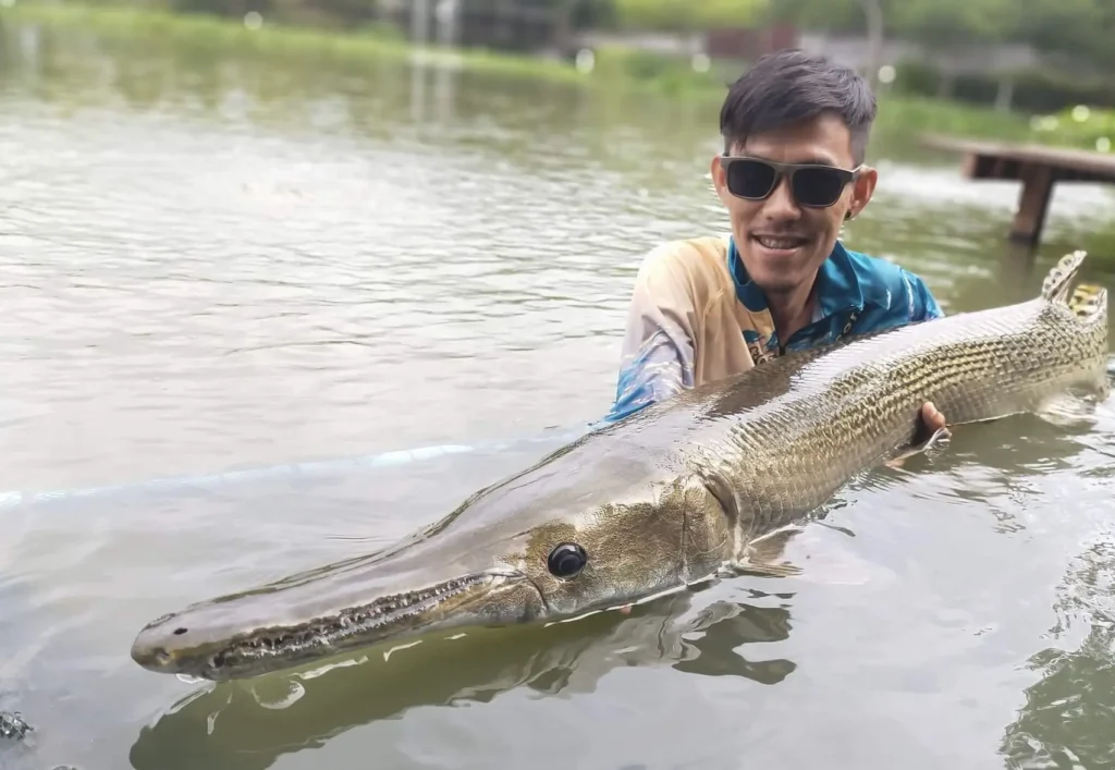 chao-phraya-catfish-fly-fishing-vietnam-fishing-tour-trip-travel-223