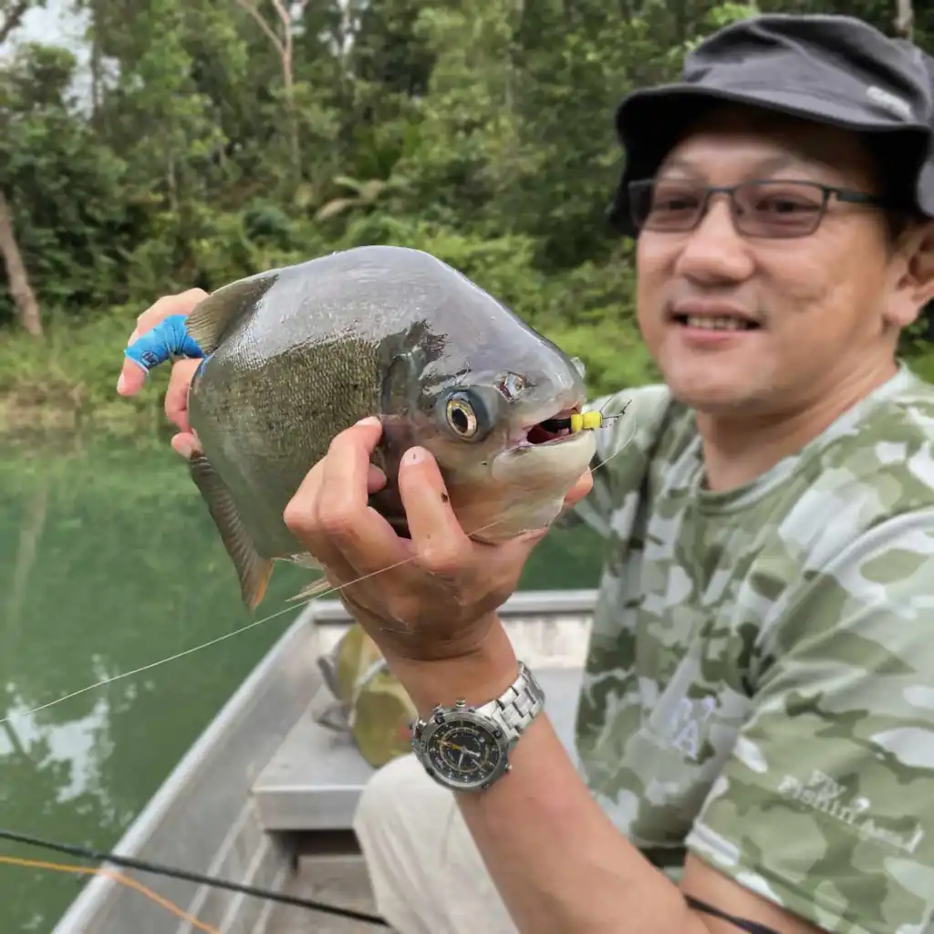 chao-phraya-catfish-fly-fishing-vietnam-fishing-tour-trip-travel-227