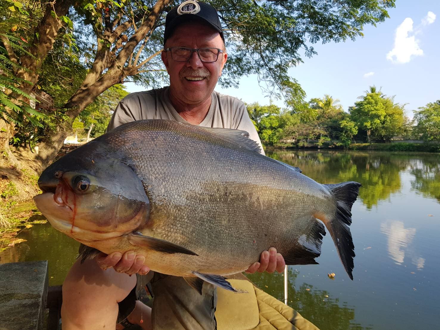 pacu