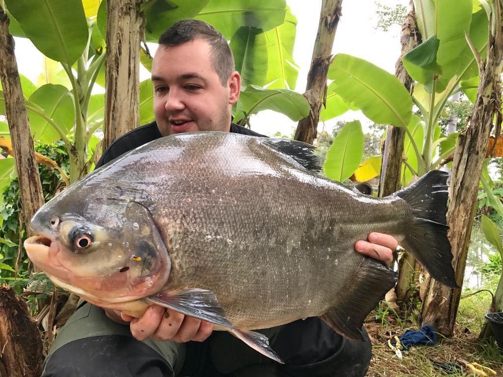 pacu-viet-nam-fishing-tours-trips-travel-anglers-lure-fly-fishing-summer-2026-catching-2174