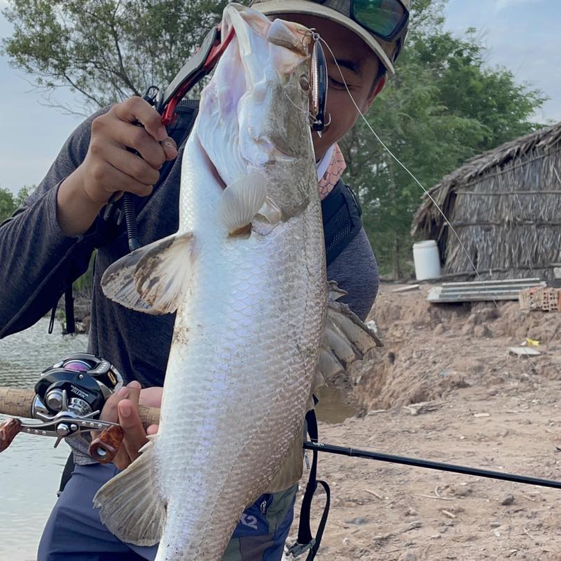 11294-barramundi-vietnam-fishing-tours-trips-travel-anglers-fly-lure-summer-2026