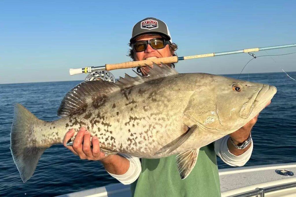 Aggressive Groupers