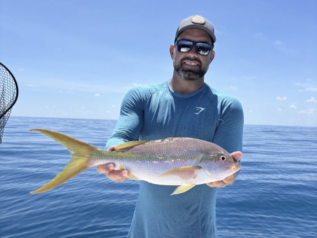 Sleek Snappers
