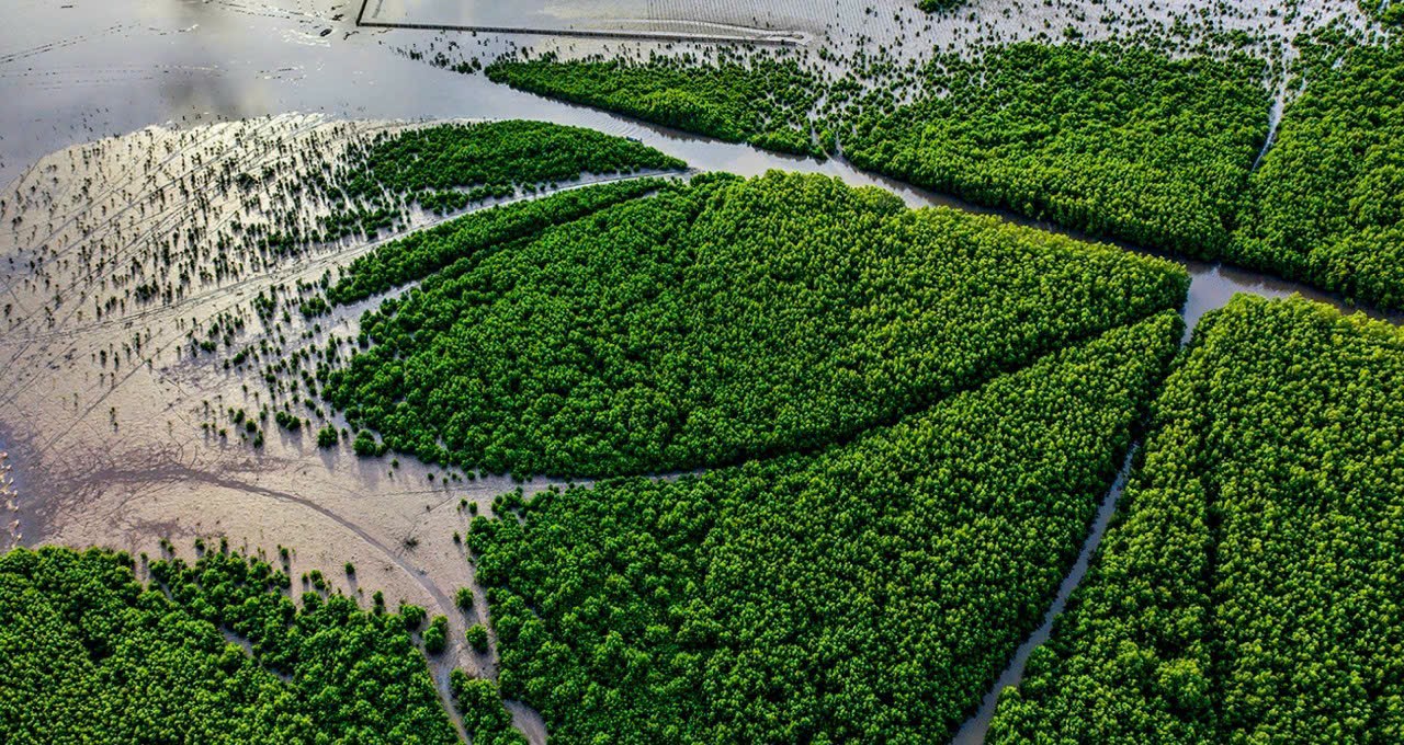 Mui Ca Mau National Park