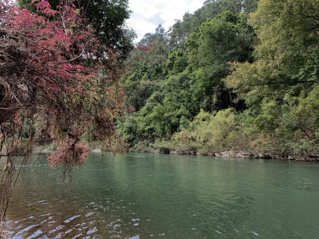 The rare mahseer fish, hidden beneath the clear waters of streams in northern Vietnam, challenges anglers from all over the world to come and catch it.